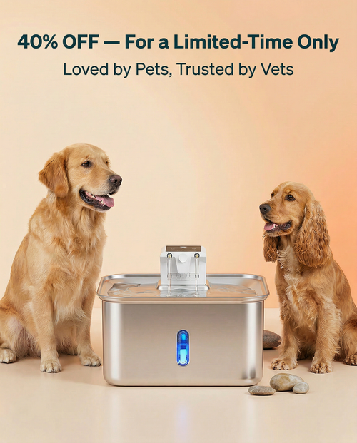 DailyDrop Wireless (7L)